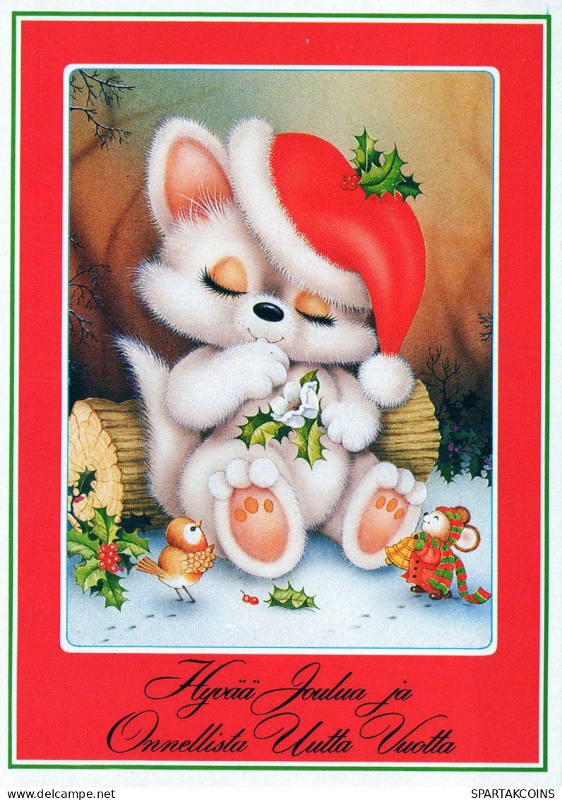 GATO GATITO Animales Vintage Tarjeta Postal CPSM #PBQ781.ES - Chats