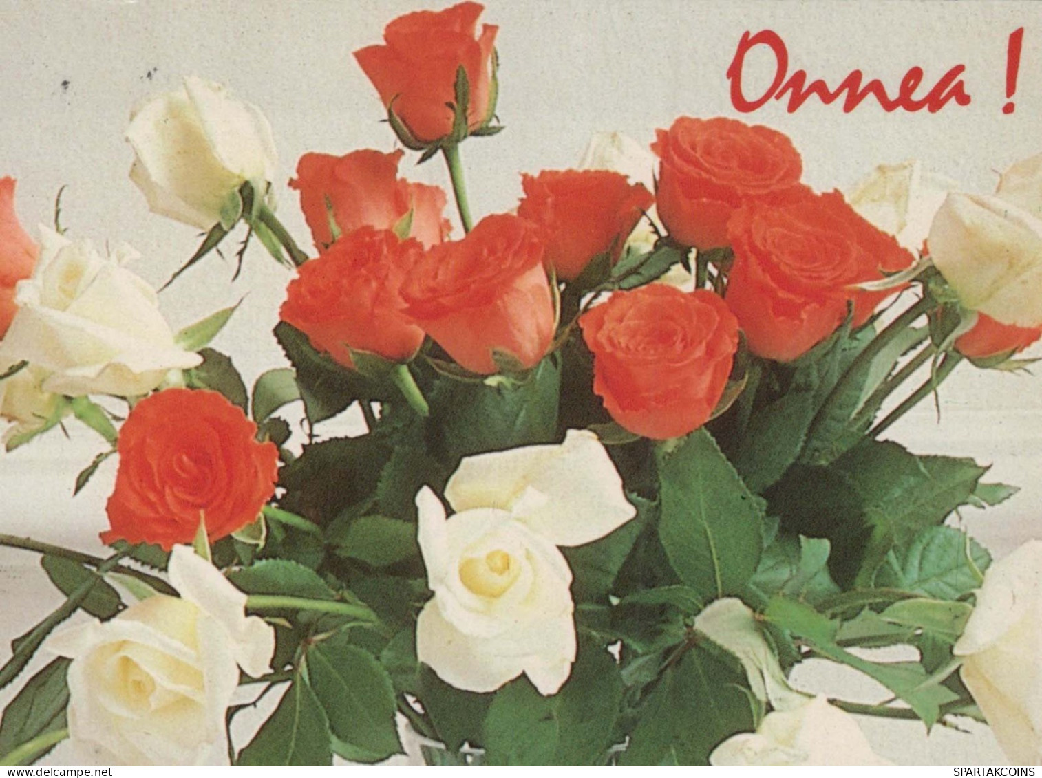 FLOWERS Vintage Ansichtskarte Postkarte CPSM #PAS644.DE - Blumen