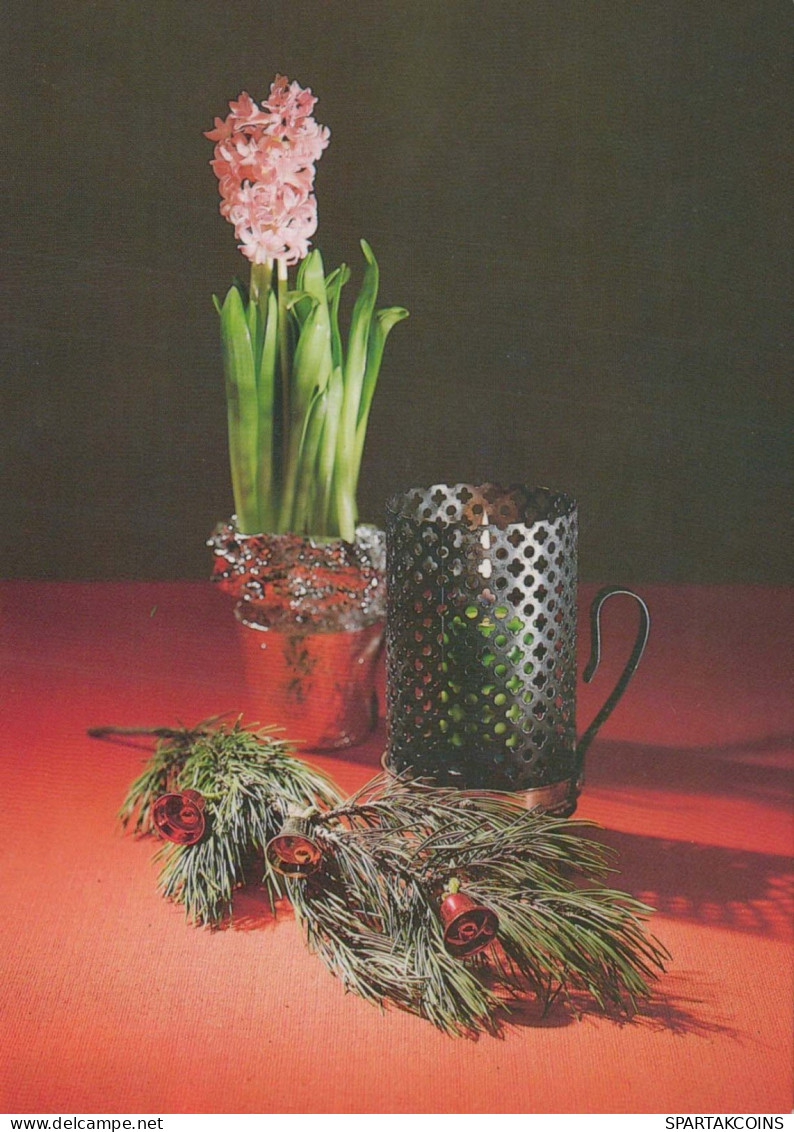 FLOWERS Vintage Ansichtskarte Postkarte CPSM #PAS400.DE - Bloemen