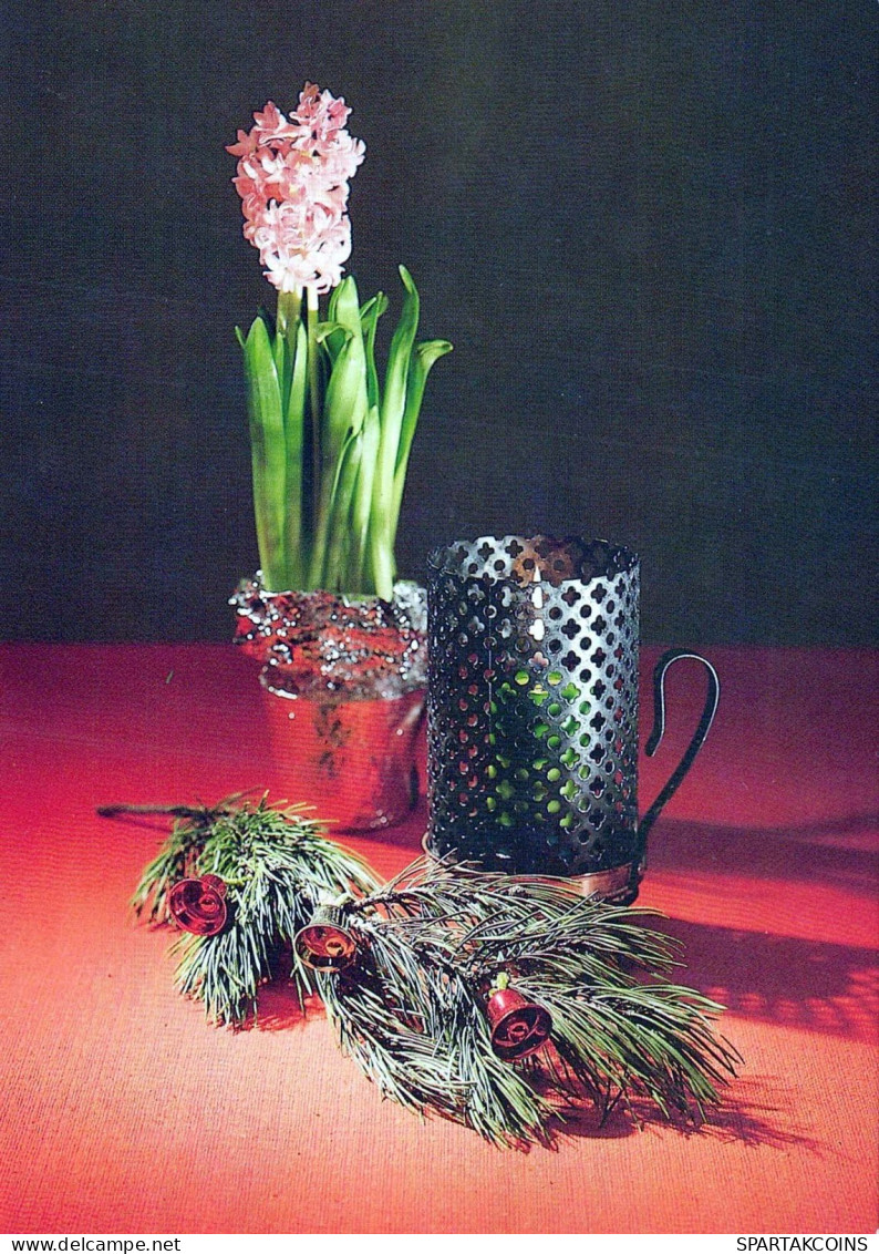 FLOWERS Vintage Ansichtskarte Postkarte CPSM #PAS400.DE - Bloemen