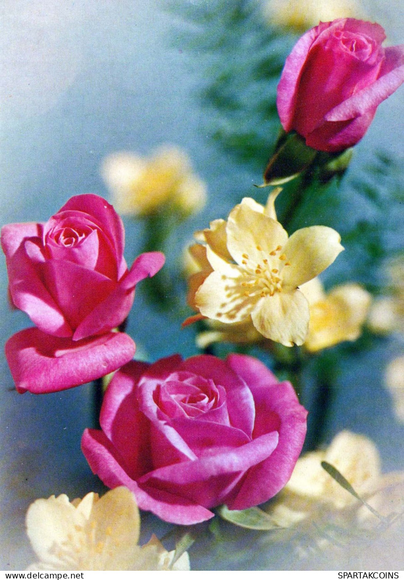 FLOWERS Vintage Ansichtskarte Postkarte CPSM #PAR919.DE - Flores