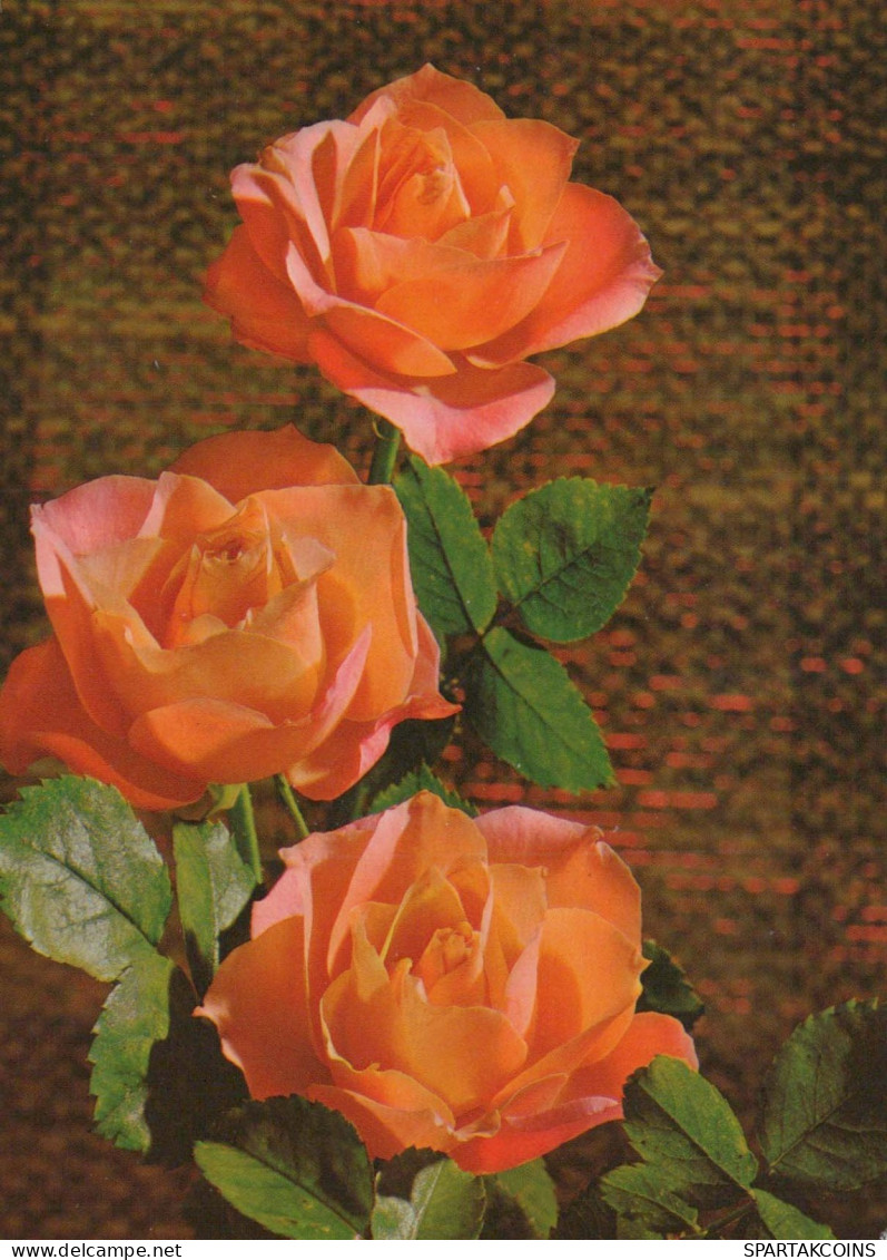 FLOWERS Vintage Ansichtskarte Postkarte CPSM #PAR979.DE - Bloemen