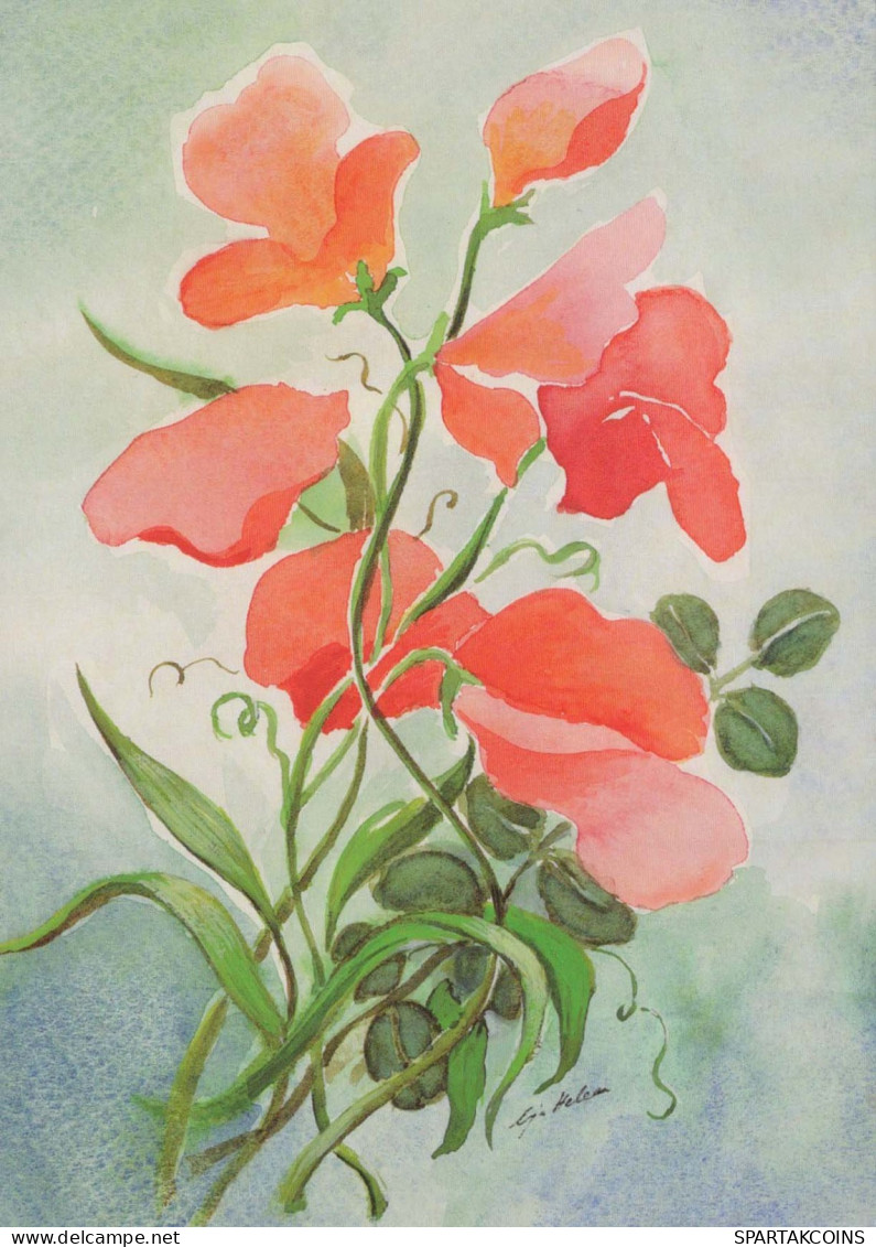 FLOWERS Vintage Ansichtskarte Postkarte CPSM #PAR318.DE - Flores