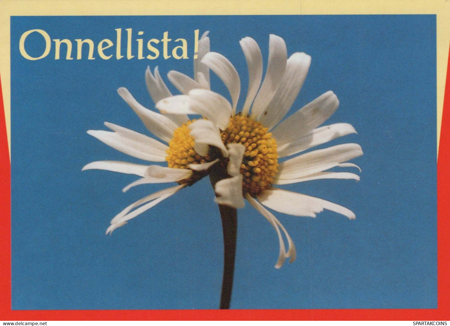 FLOWERS Vintage Ansichtskarte Postkarte CPSM #PAR679.DE - Bloemen