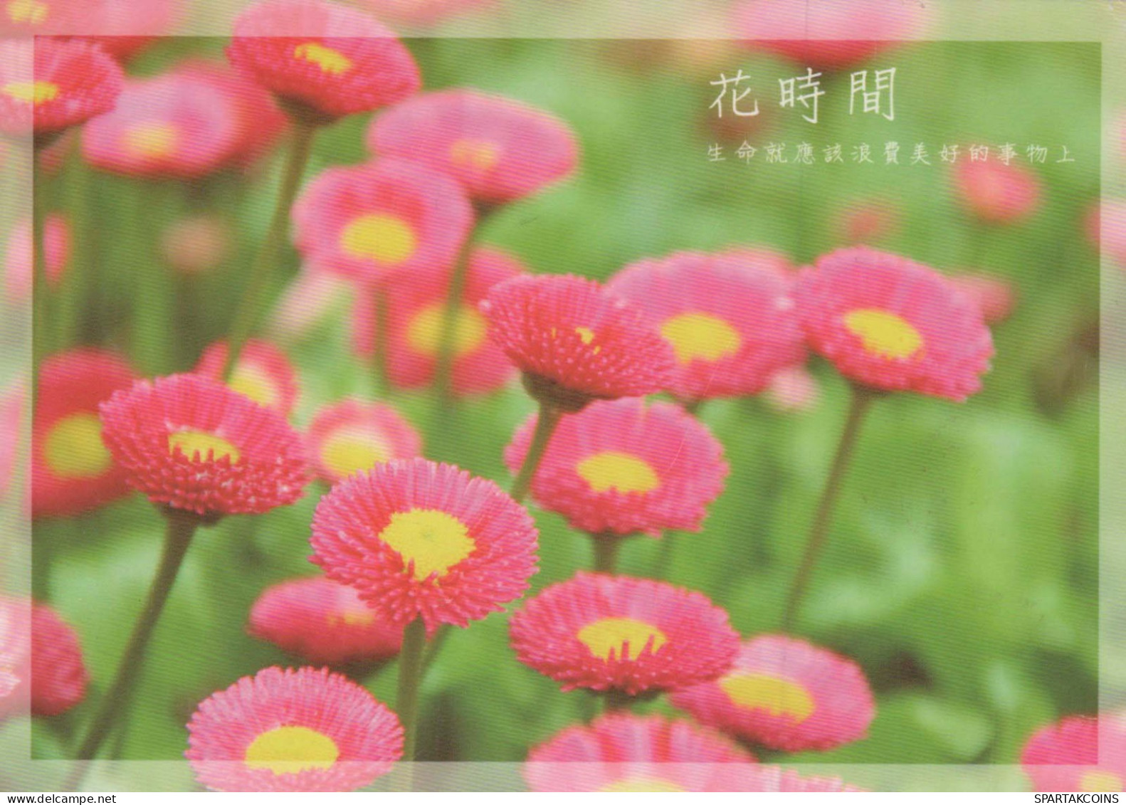 FLOWERS Vintage Ansichtskarte Postkarte CPSM #PAR379.DE - Blumen