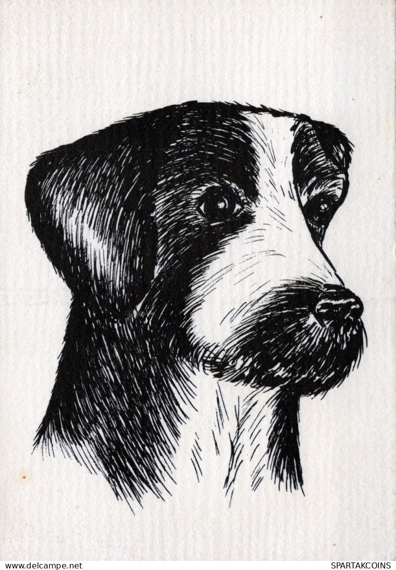 HUND Tier Vintage Ansichtskarte Postkarte CPSM #PAN756.DE - Dogs