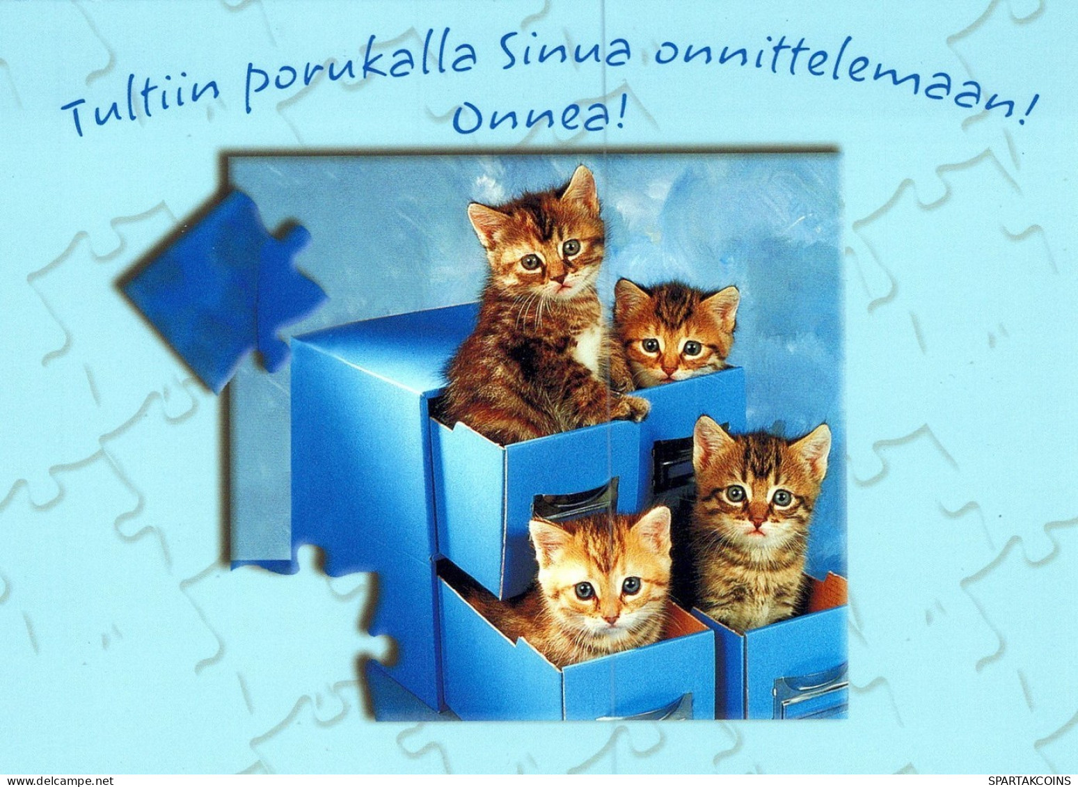KATZE MIEZEKATZE Tier Vintage Ansichtskarte Postkarte CPSM Unposted #PAM431.DE - Cats