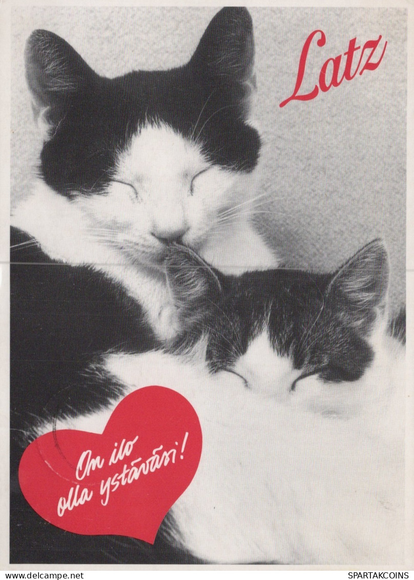 KATZE MIEZEKATZE Tier Vintage Ansichtskarte Postkarte CPSM #PAM302.DE - Cats