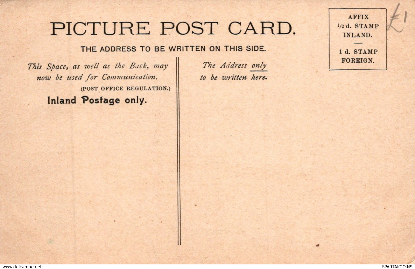 ÂNE Animaux Vintage Antique CPA Carte Postale #PAA326.FR - Ezels
