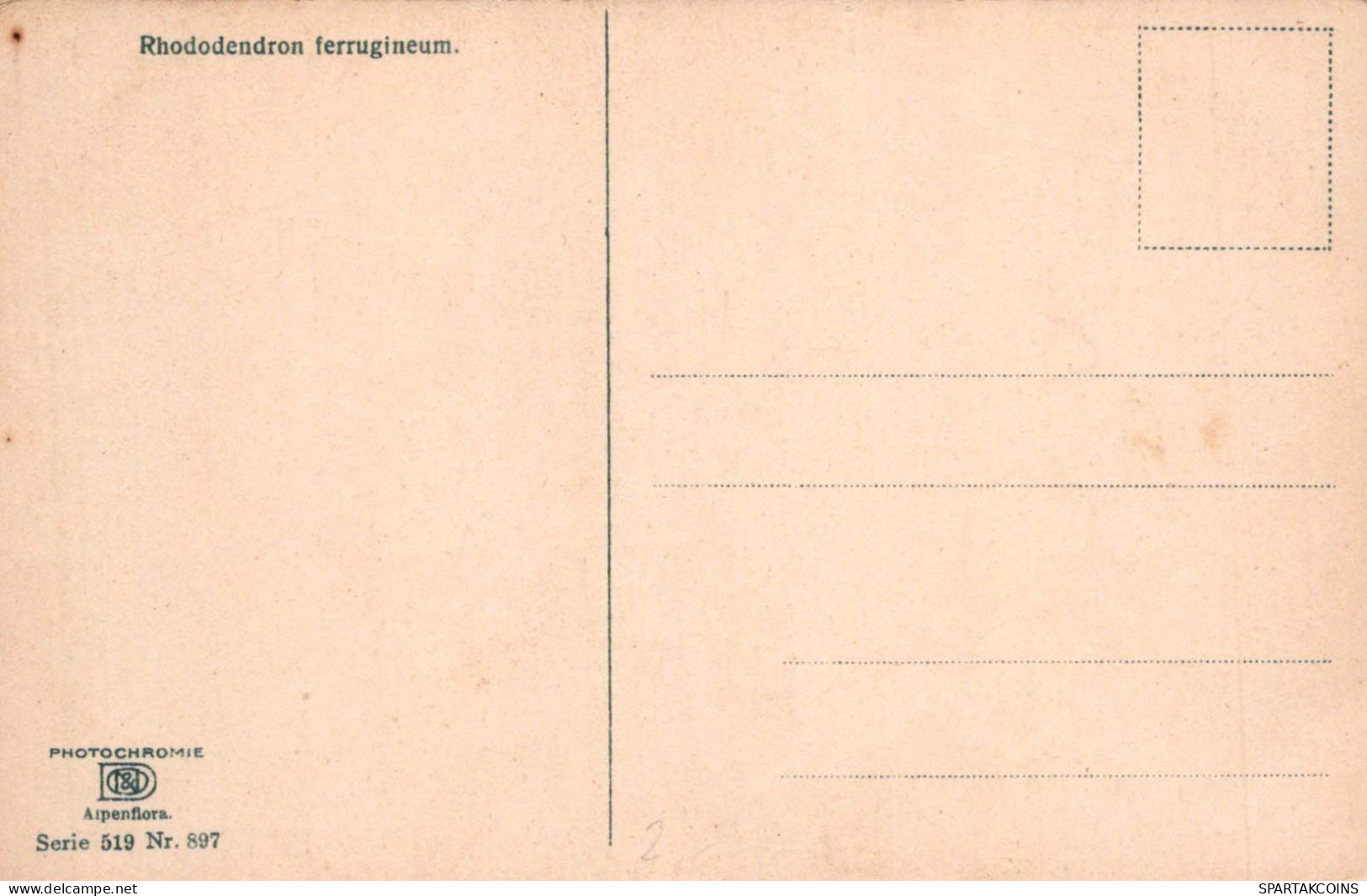 FLEURS Vintage Carte Postale CPA #PKE560.FR - Blumen