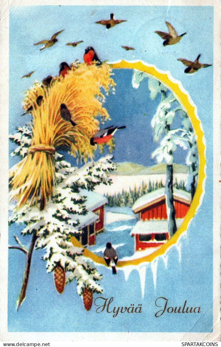 Bonne Année Noël OISEAU Vintage Carte Postale CPA #PKE869.FR - New Year