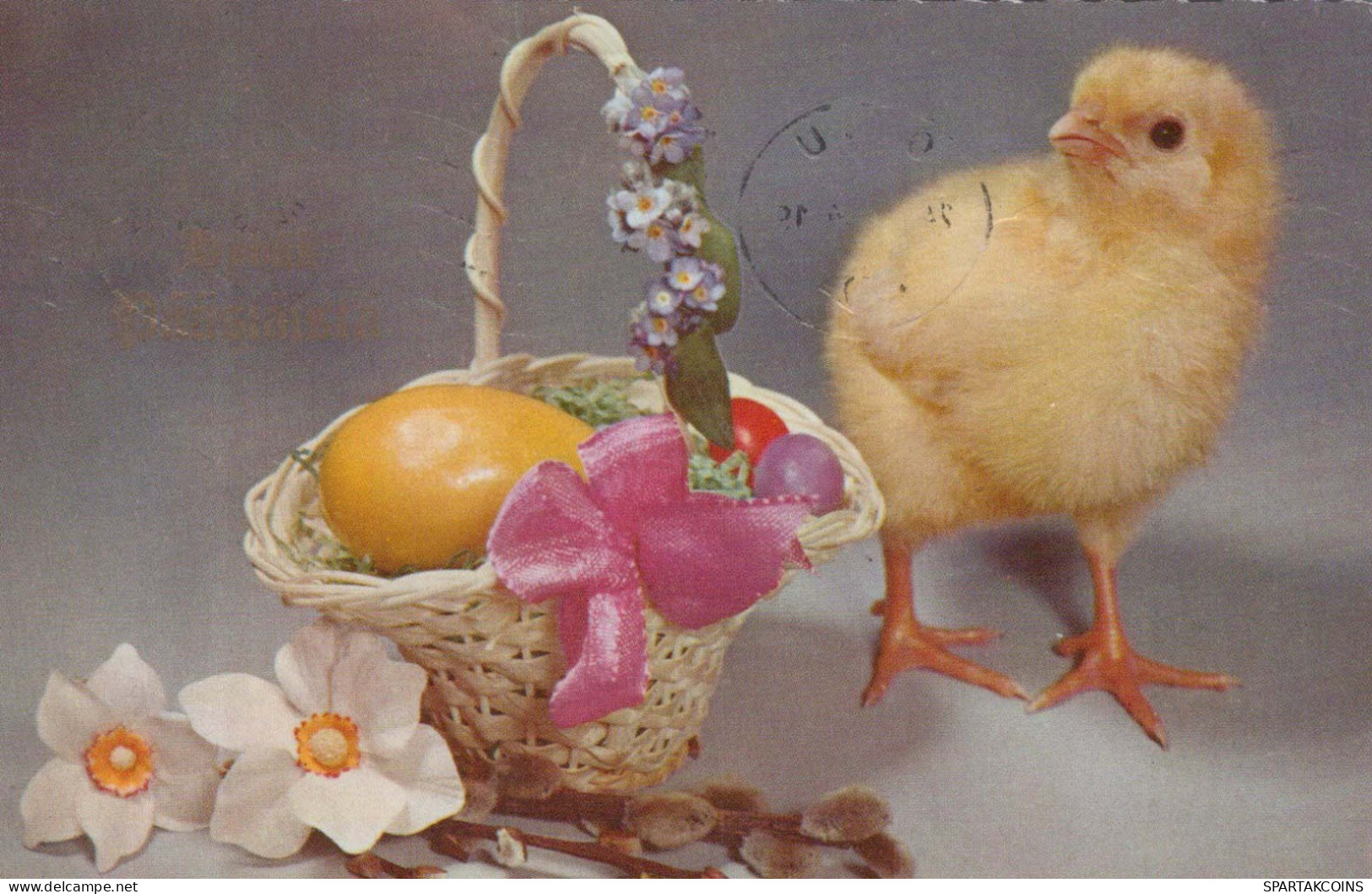 PÂQUES POULET ŒUF Vintage Carte Postale CPA #PKE432.FR - Easter