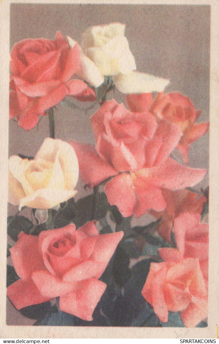 FLEURS Vintage Carte Postale CPA #PKE500.FR - Flores