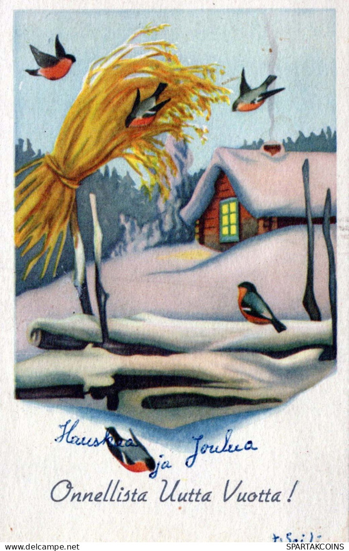 PÂQUES OISEAU Vintage Carte Postale CPA #PKE307.FR - Easter