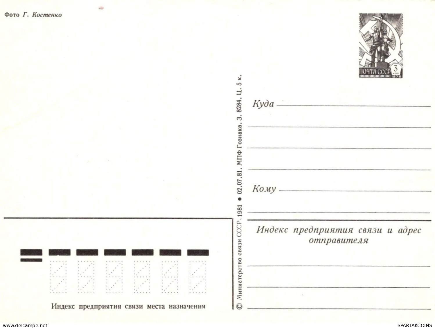 FLEURS Vintage Carte Postale CPSM #PBZ506.FR - Flores