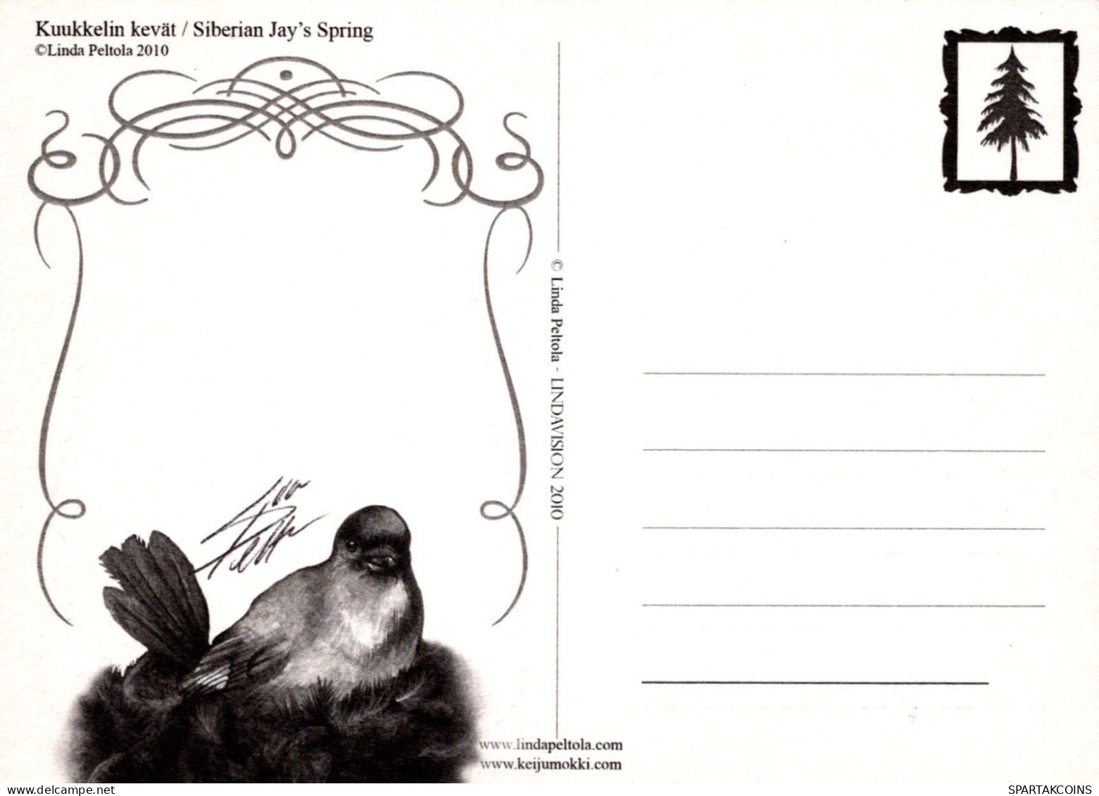 OISEAU Animaux Vintage Carte Postale CPSM #PBR556.FR - Oiseaux
