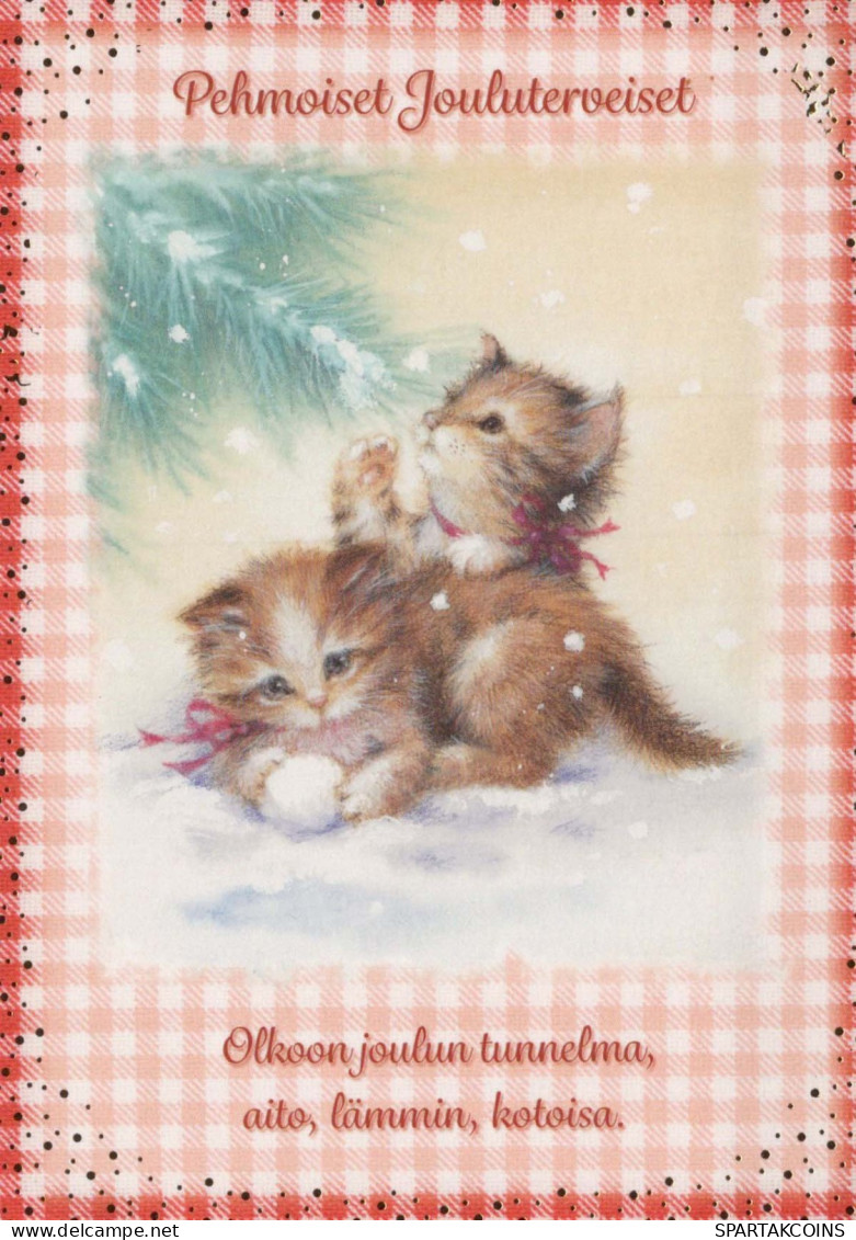 CHAT CHAT Animaux Vintage Carte Postale CPSM #PBQ842.FR - Chats