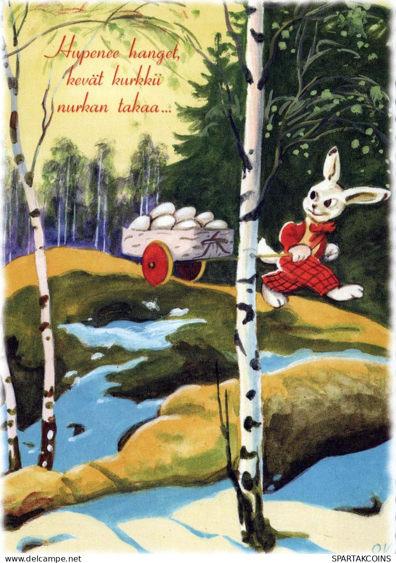 PÂQUES LAPIN Vintage Carte Postale CPSM #PBO358.FR - Easter