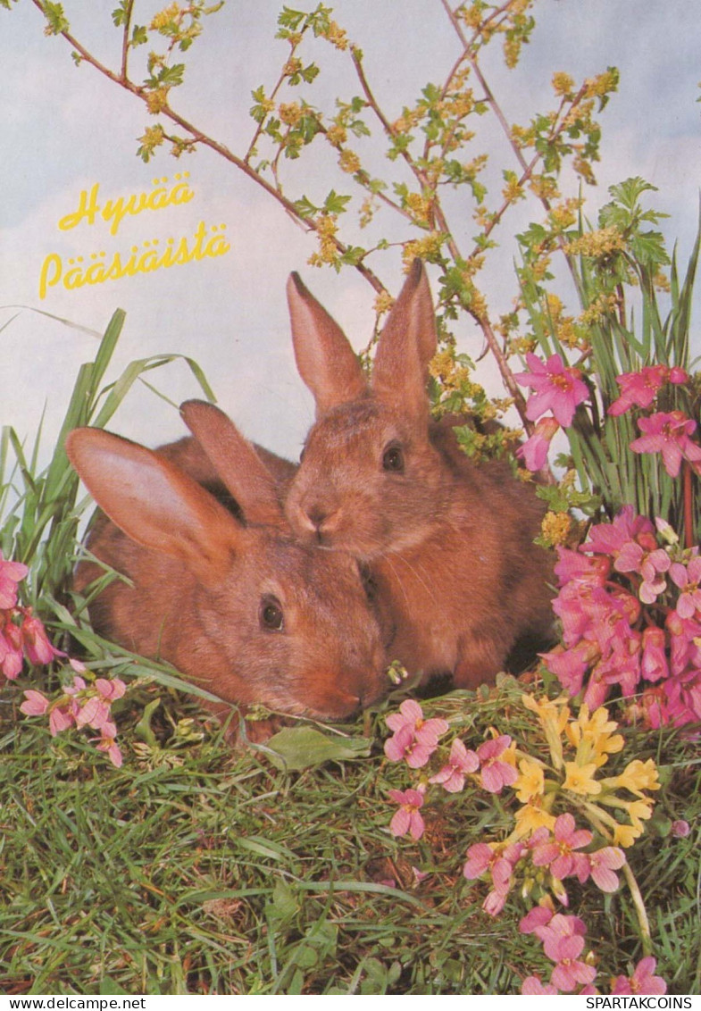 PÂQUES LAPIN Vintage Carte Postale CPSM #PBO547.FR - Easter