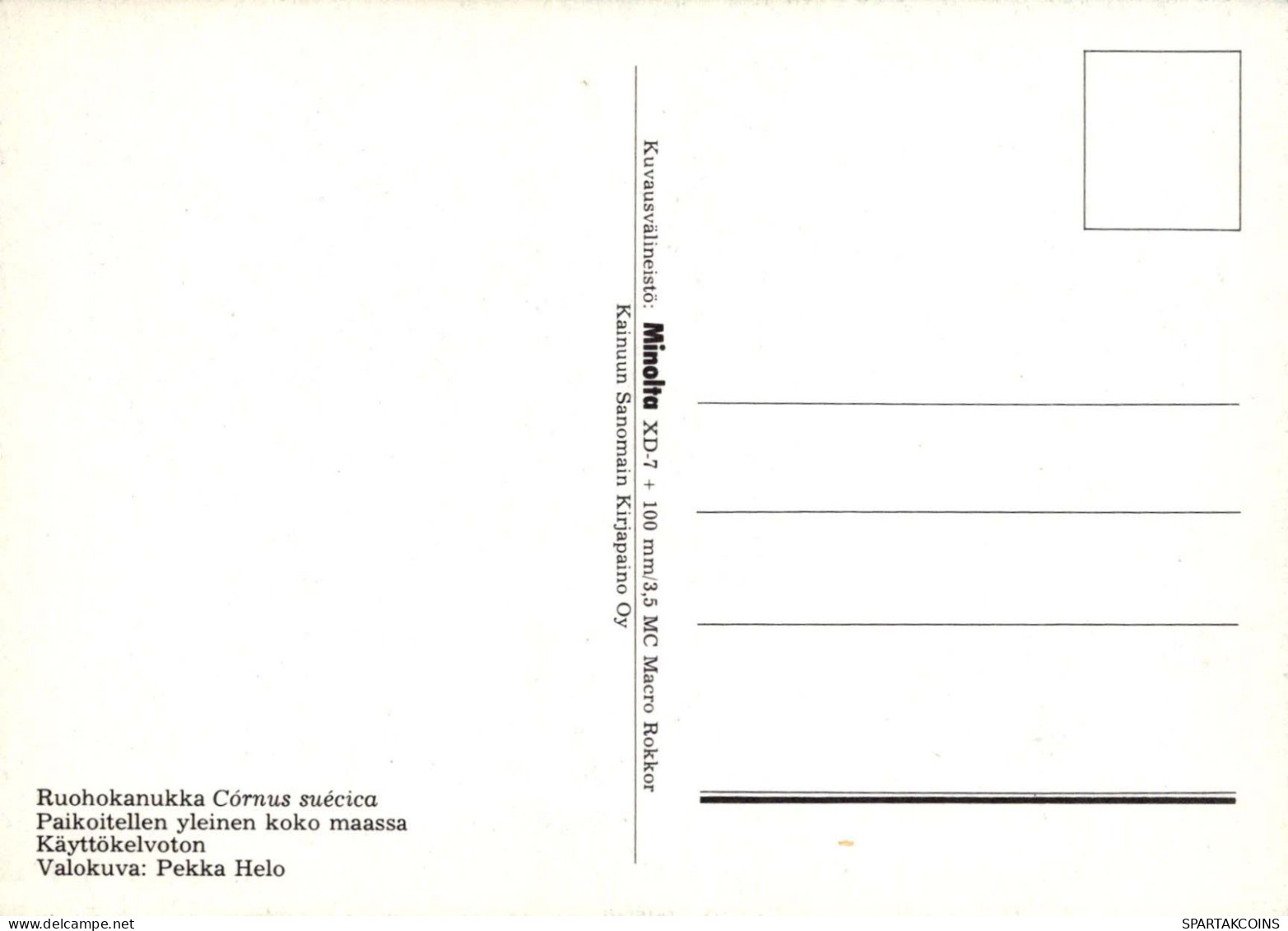 FIORI Vintage Cartolina CPSM #PAR560.IT - Flores