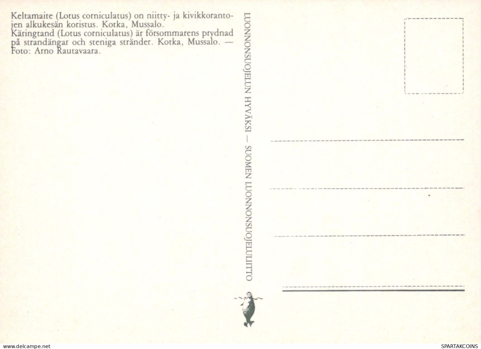 FIORI Vintage Cartolina CPSM #PAR500.IT - Blumen
