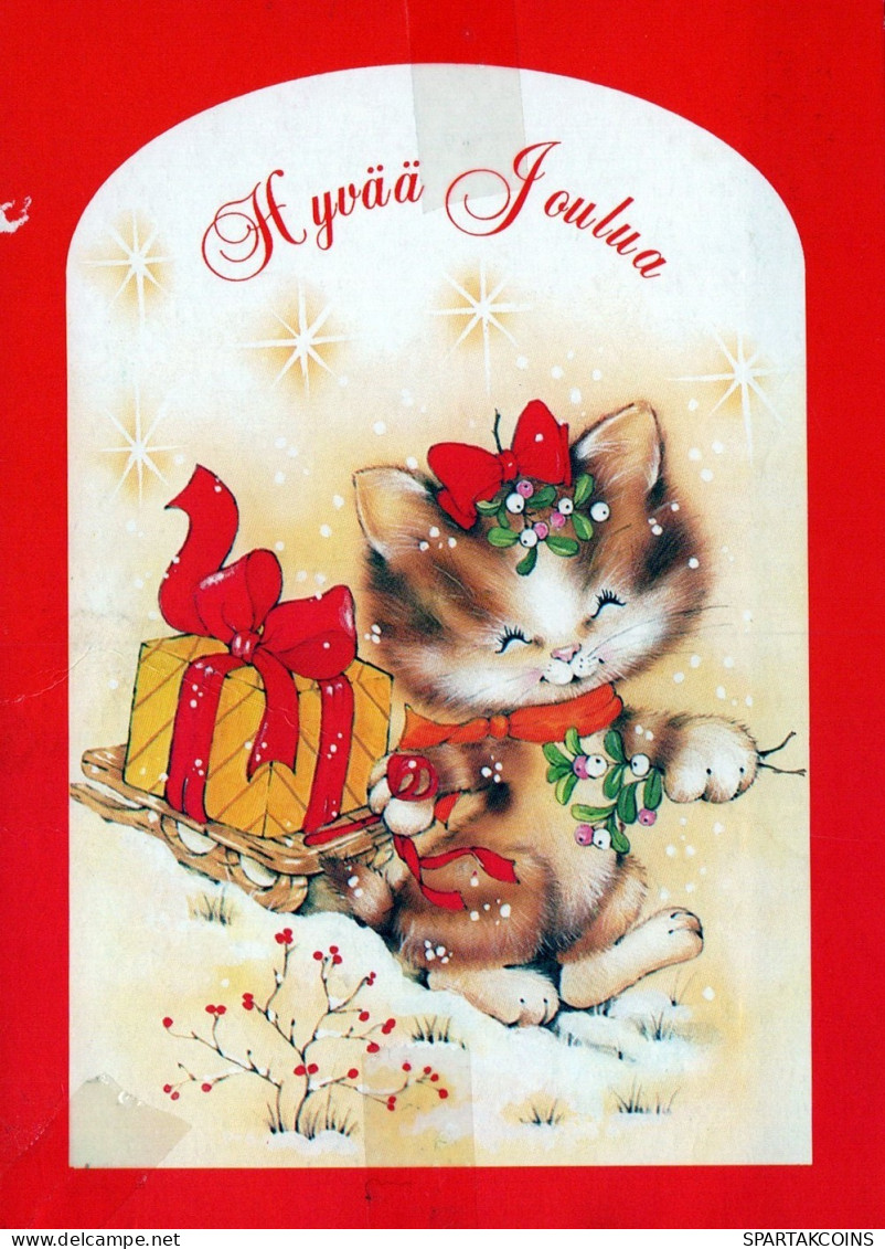 GATTO KITTY Animale Vintage Cartolina CPSM #PAM622.IT - Cats