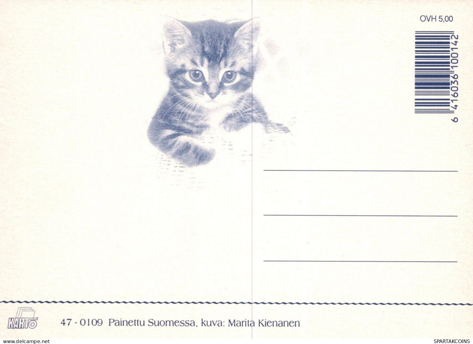 GATTO KITTY Animale Vintage Cartolina CPSM Unposted #PAM432.IT - Chats
