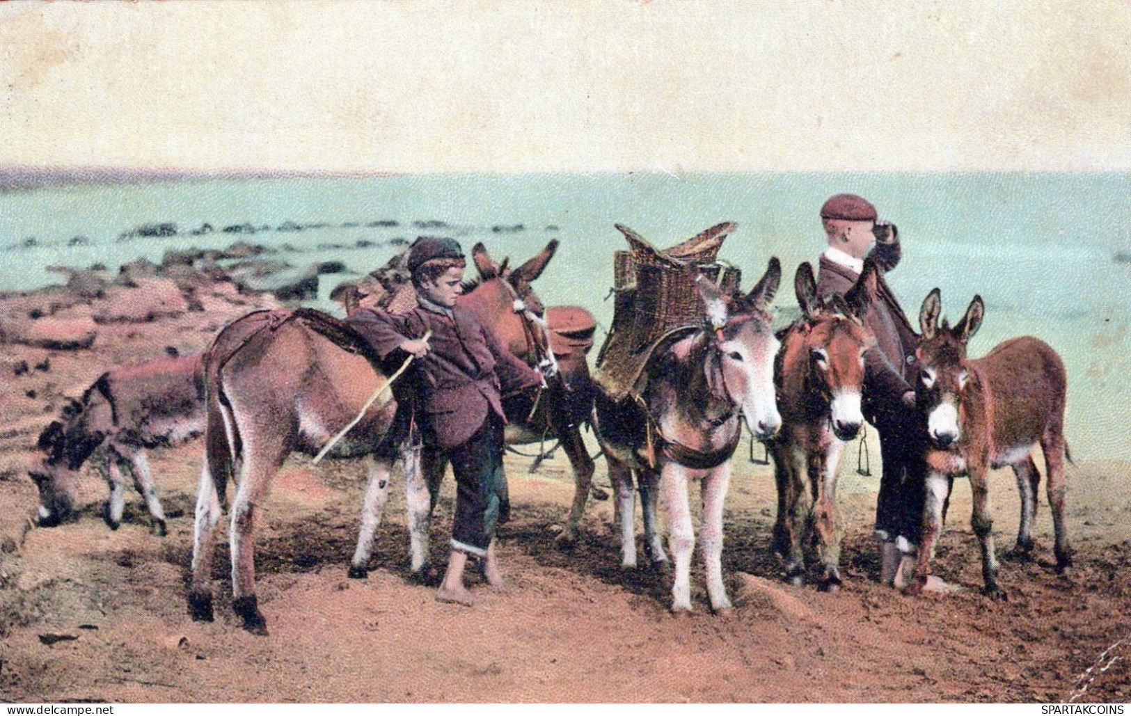 ESEL Tiere Kinder Vintage Antik Alt CPA Ansichtskarte Postkarte #PAA327.DE - Donkeys