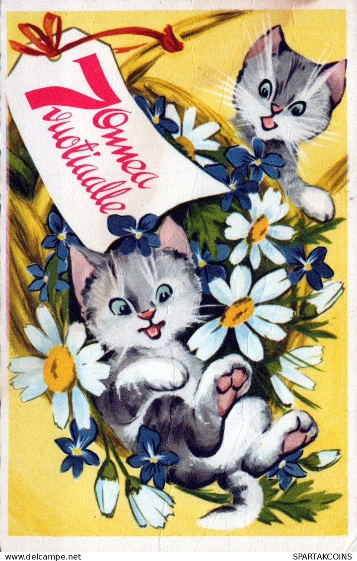 KATZE Vintage Ansichtskarte Postkarte CPSMPF #PKG915.DE - Katten