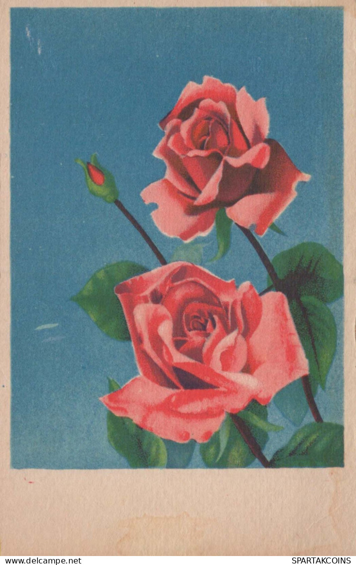 FLOWERS Vintage Ansichtskarte Postkarte CPA #PKE622.DE - Blumen