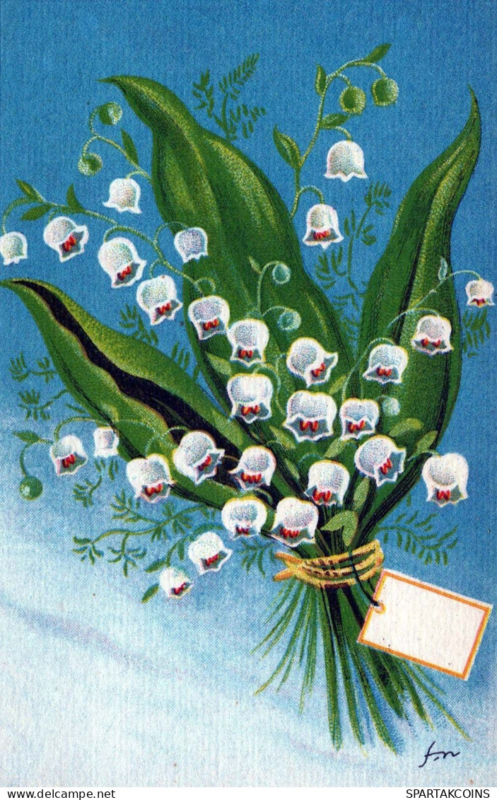 FLOWERS Vintage Ansichtskarte Postkarte CPSMPF #PKG045.DE - Bloemen