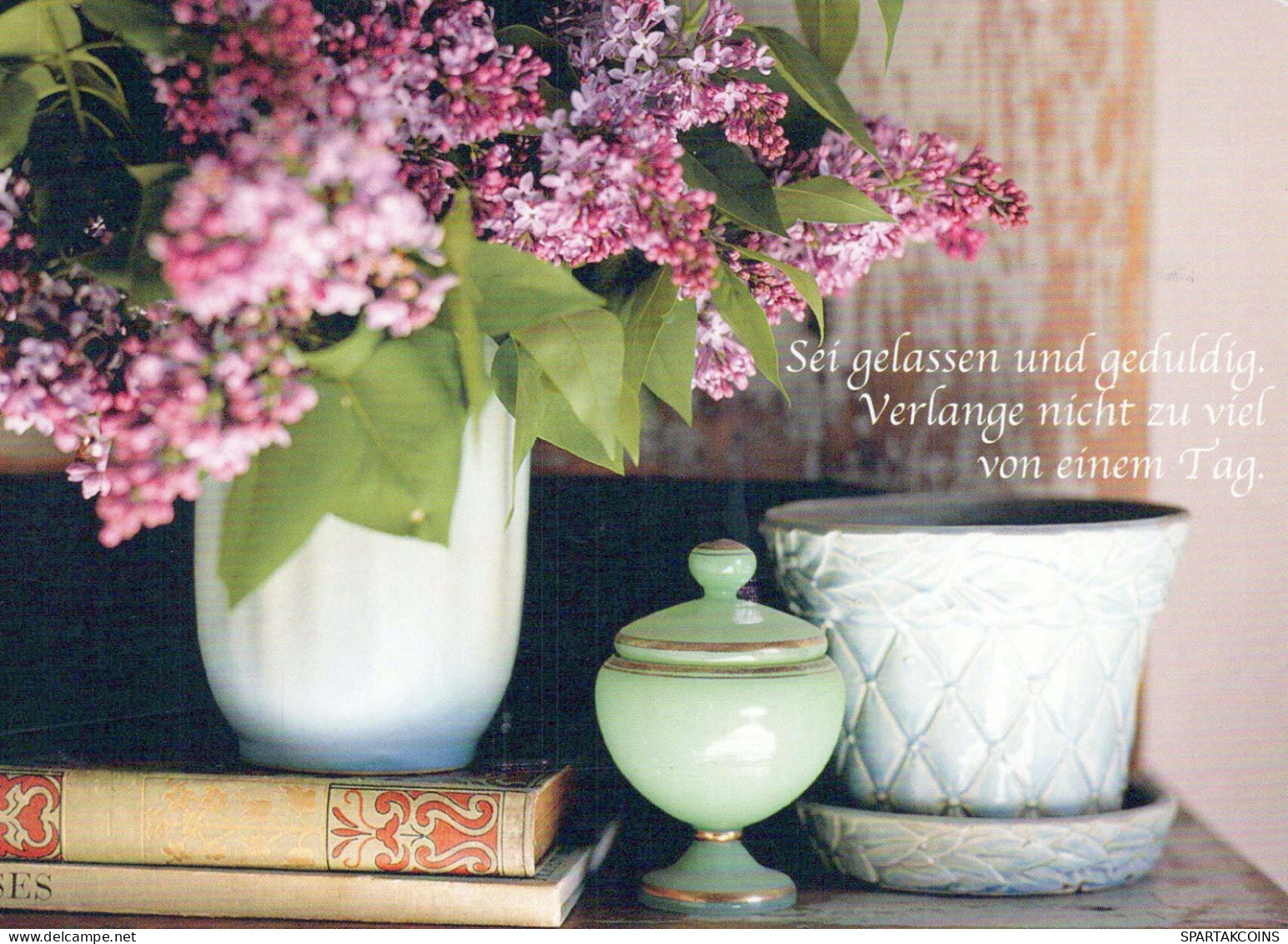 FLOWERS Vintage Ansichtskarte Postkarte CPSM #PBZ207.DE - Blumen