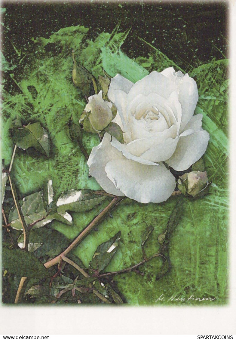 FLOWERS Vintage Ansichtskarte Postkarte CPSM #PBZ567.DE - Blumen