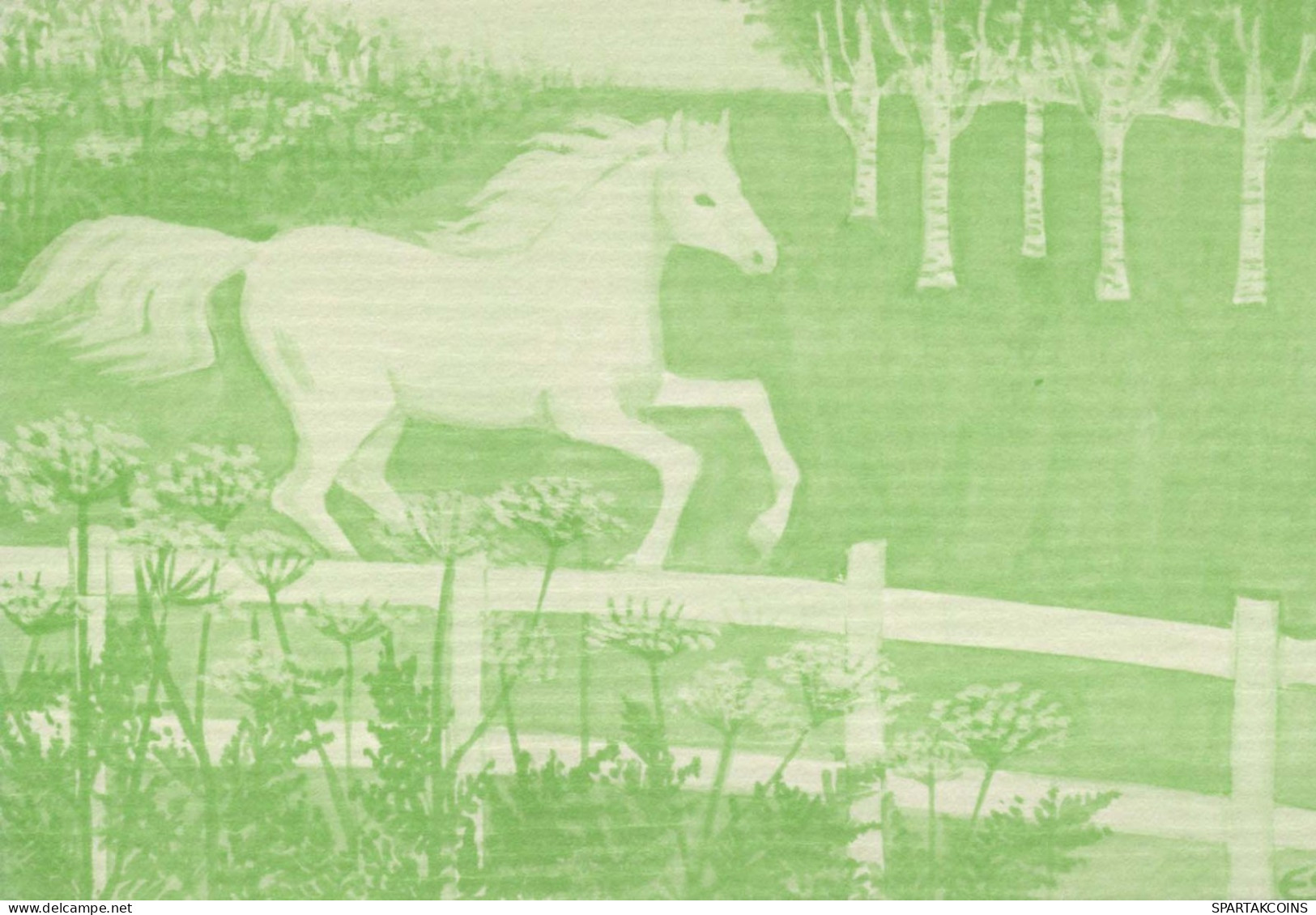 PFERD Tier Vintage Ansichtskarte Postkarte CPSM #PBR886.DE - Horses
