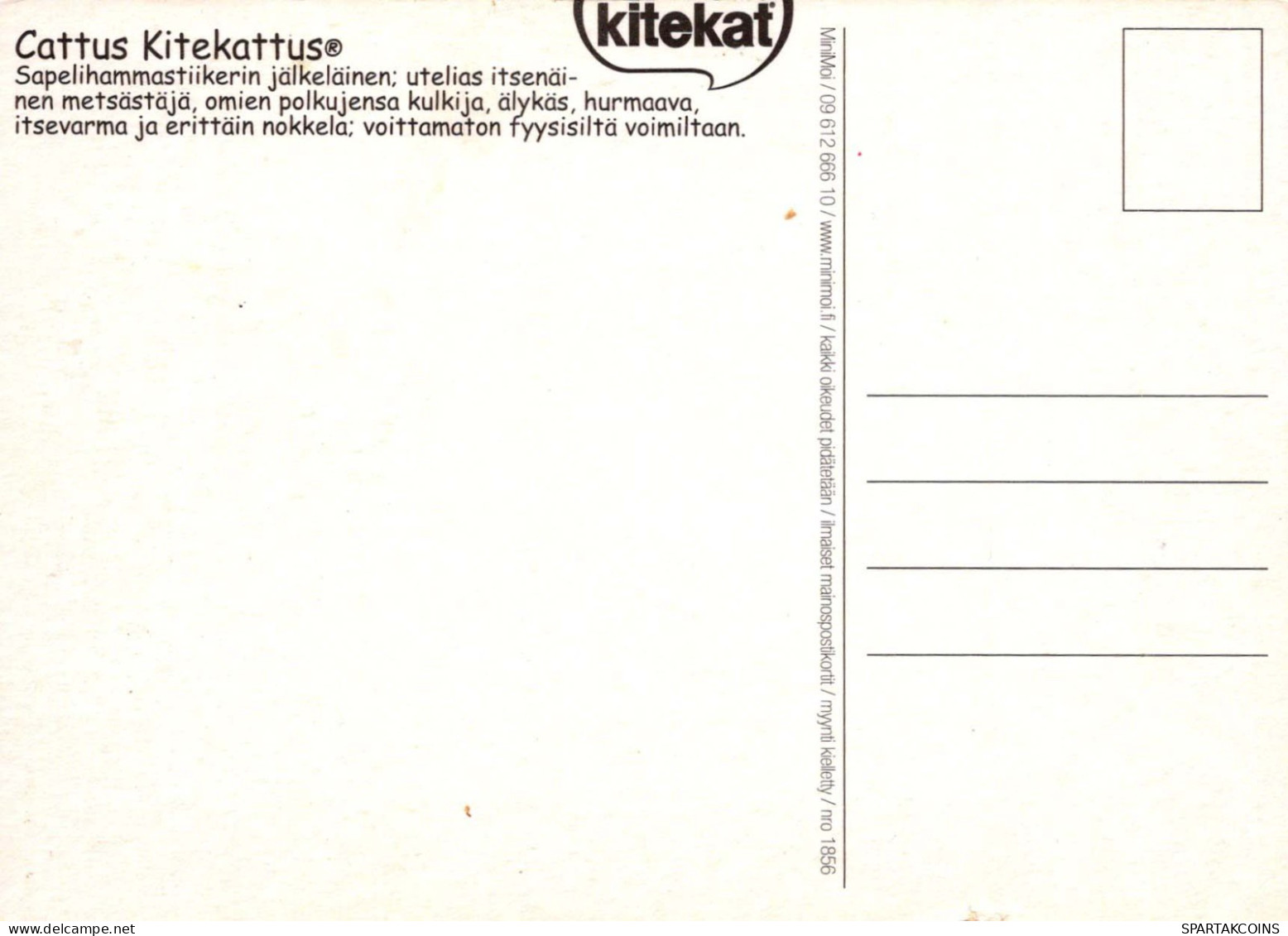 KATZE MIEZEKATZE Tier Vintage Ansichtskarte Postkarte CPSM #PBQ968.DE - Chats