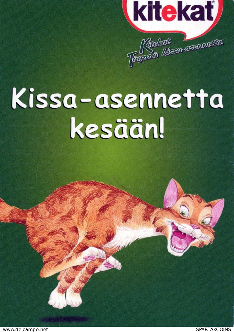 KATZE MIEZEKATZE Tier Vintage Ansichtskarte Postkarte CPSM #PBQ968.DE - Cats