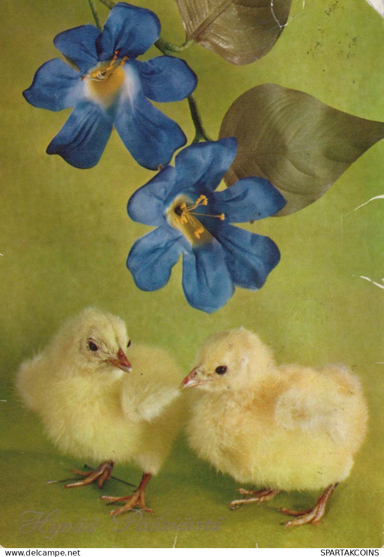 OSTERN HUHN EI Vintage Ansichtskarte Postkarte CPSM #PBO674.DE - Pâques