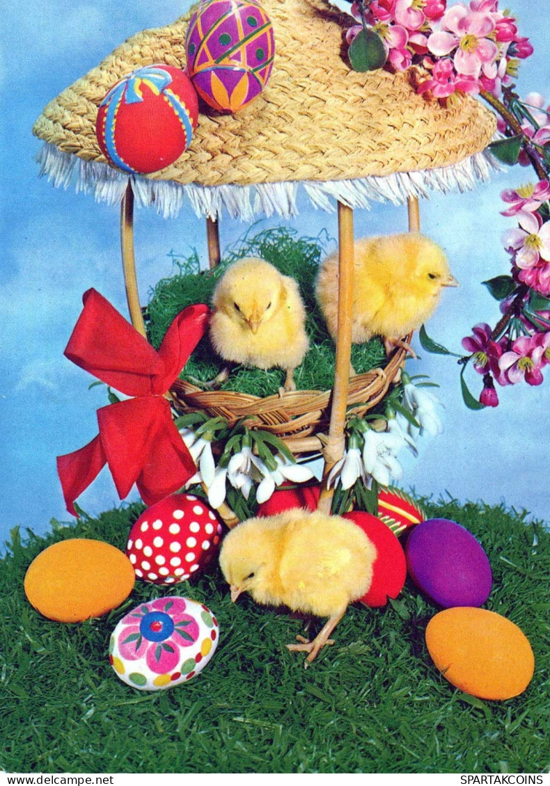 OSTERN HUHN EI Vintage Ansichtskarte Postkarte CPSM #PBO611.DE - Pâques