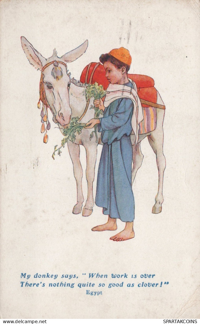 ASINO Animale BAMBINO Vintage CPA Cartolina #PAA165.IT - Donkeys