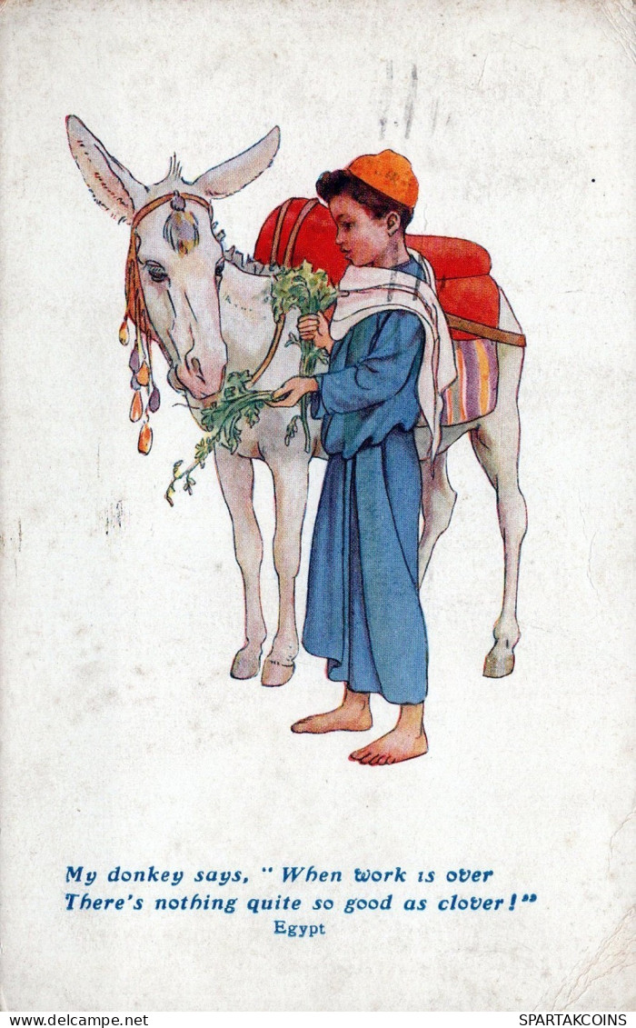 ASINO Animale BAMBINO Vintage CPA Cartolina #PAA165.IT - Donkeys
