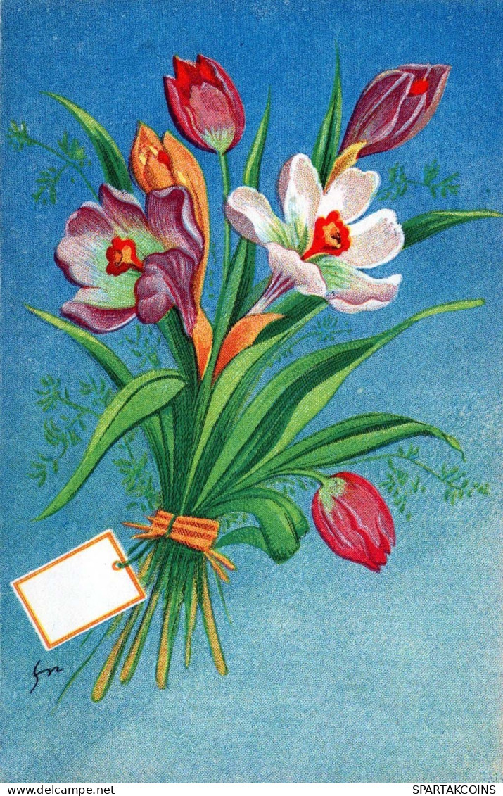 FIORI Vintage Cartolina CPSMPF #PKG046.IT - Flores