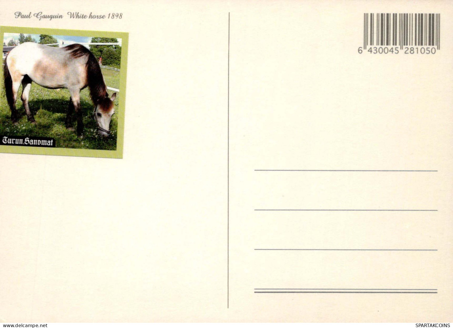 CAVALLO Animale Vintage Cartolina CPSM #PBR887.IT - Chevaux
