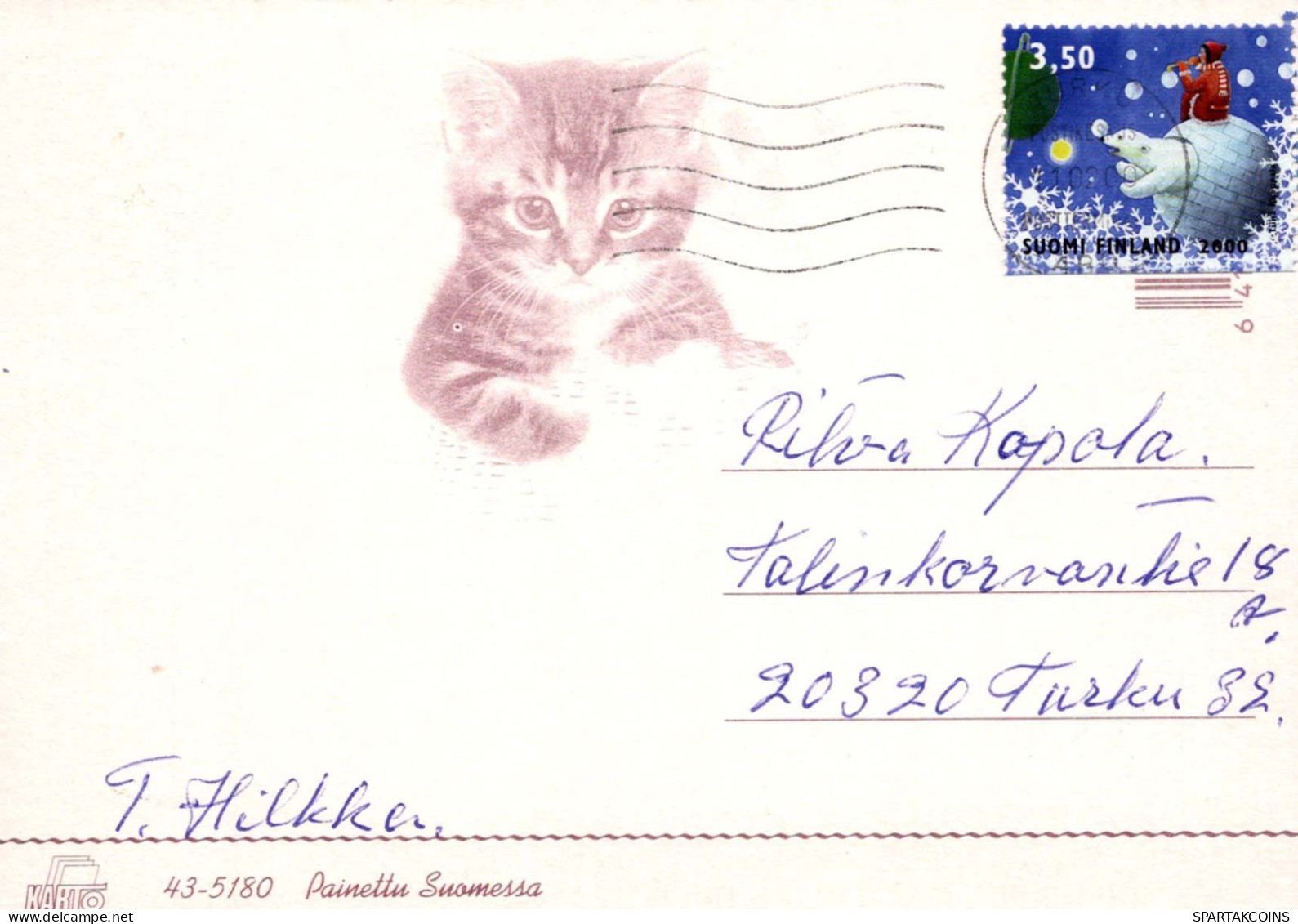 GATTO KITTY Animale Vintage Cartolina CPSM #PBQ969.IT - Katten