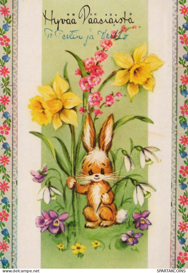 PASQUA CONIGLIO Vintage Cartolina CPSM #PBO423.IT - Easter