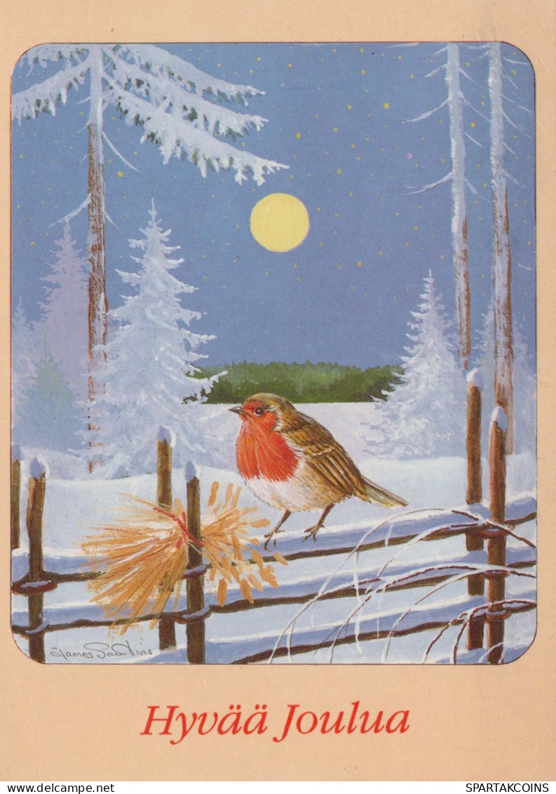 Buon Anno Natale UCCELLO Vintage Cartolina CPSM #PBM795.IT - New Year