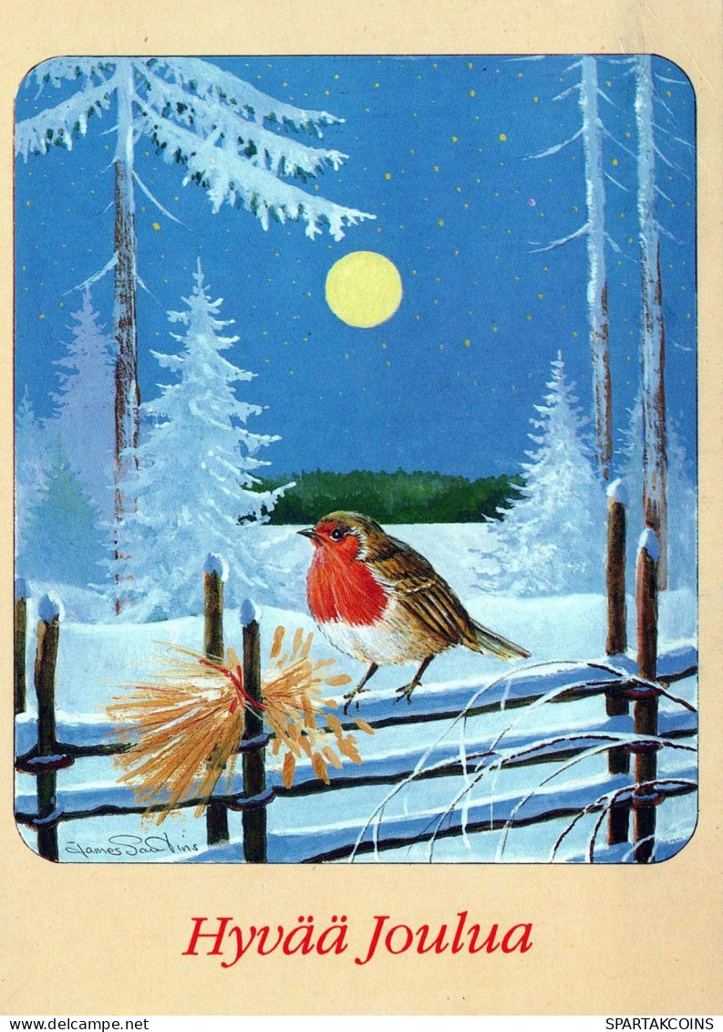 Buon Anno Natale UCCELLO Vintage Cartolina CPSM #PBM795.IT - New Year