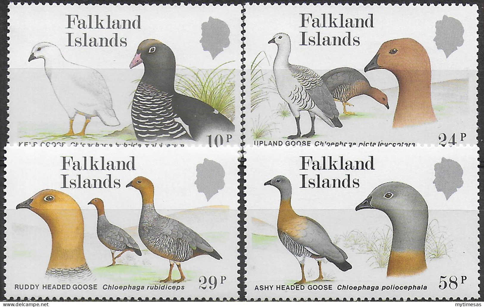 1988 Falkland Islands Geese 4v. MNH SG. N. 559/562 - Sonstige & Ohne Zuordnung