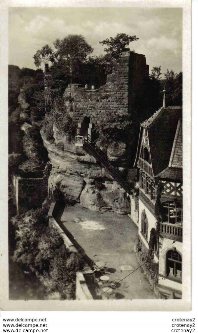 67 HAUT BARR Près SAVERNE Bel Escalier Tables En Terrasse N°82 VOIR DOS - Saverne