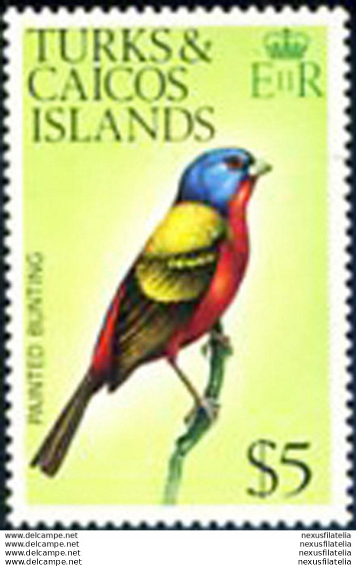 Fauna. Uccelli 1976. - Turks- En Caicoseilanden