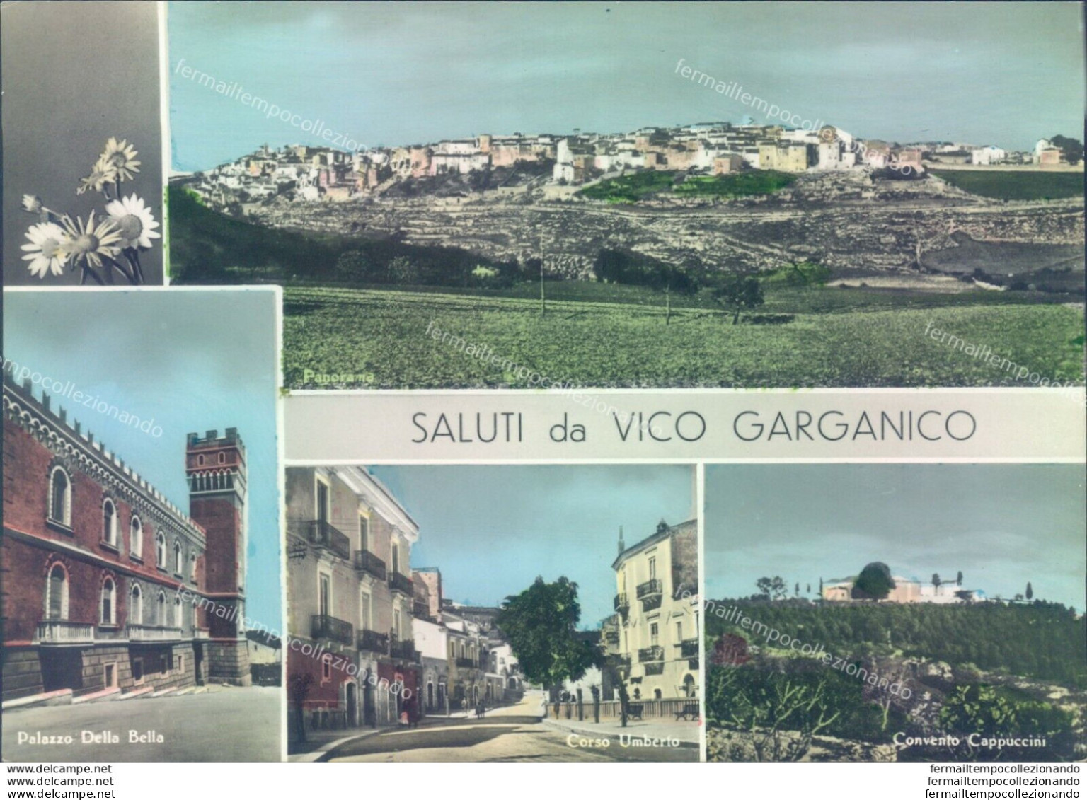 P649 Cartolina Saluti Da Vico Garganico Provincia Di Foggia - Foggia